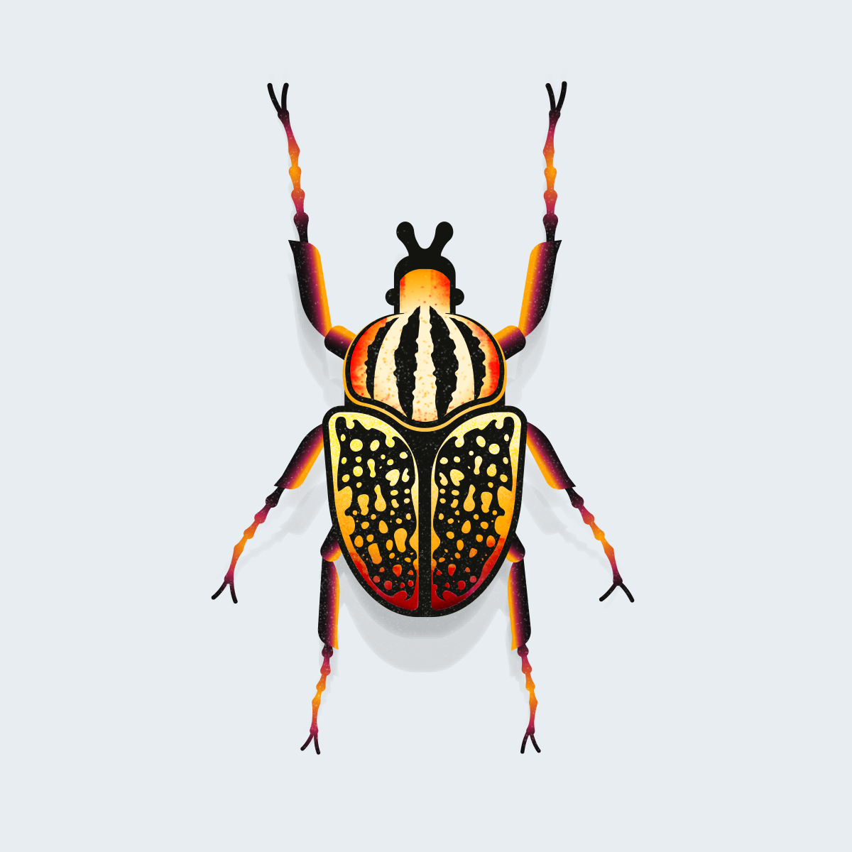 BeetlesGoliath-Beetle